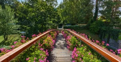 Ensana Thermal Hévíz - Spring Sale 2026 (min. 2 éj)