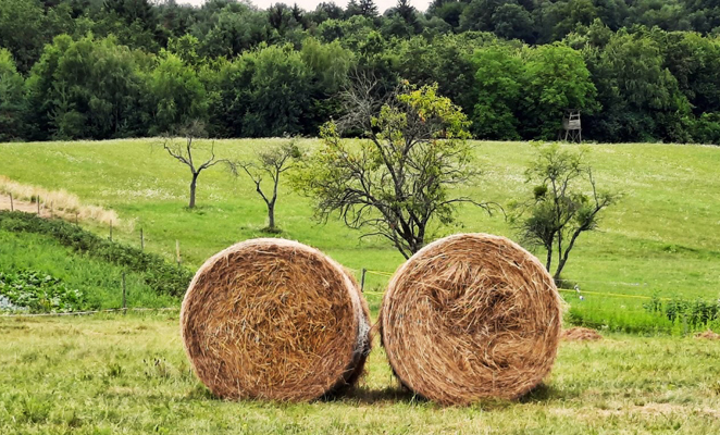 Nyugat-Dunntl szllsai egy helyen