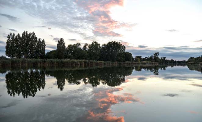 Tisza-t szllsai egy helyen