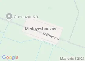 20 szlls Medgyesbodzs trkpn