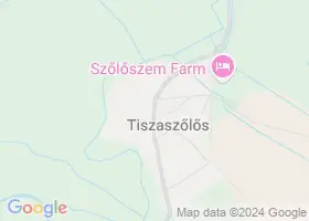 9 szlls Tiszaszls trkpn