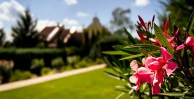 Szent István Hotel - Szenzációs Majális 37% kedvezménnyel (min. 2 éj)