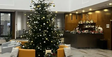 Willis Hotel Business & Wellness - Varázslatos karácsonyi pihenés (min. 3 éj)